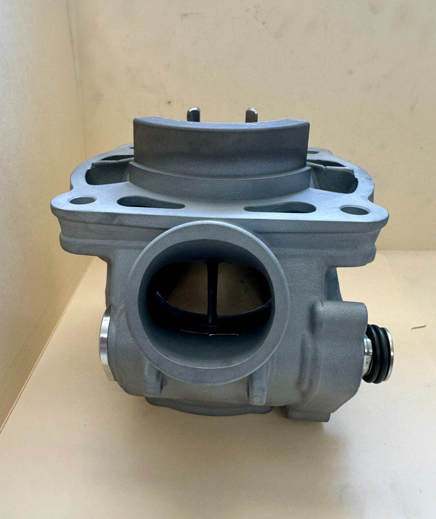 TM 250 2019-2024 TBI And Carburated 2t CYLINDER