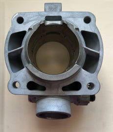 TM 300 2T 2019-2024 CARB / TBI FI CYLINDER 