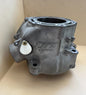 TM 300 2T 2019-2024 CARB / TBI FI CYLINDER 