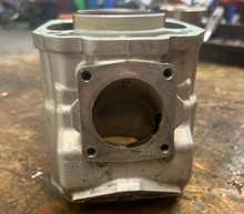 Load image into Gallery viewer, OEM SKI DOO MXZ 800R PTEK ENGINE CYLINDER - Part# 420613852 421000604 613852