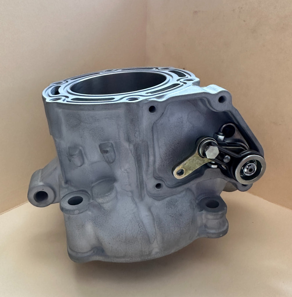TM 300 2T 2019-2024 CARB / TBI FI CYLINDER 