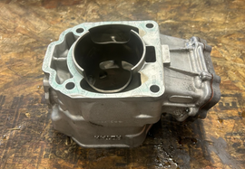 OEM SKI DOO MXZ 800R PTEK ENGINE CYLINDER - Part# 420613852 421000604 613852