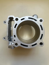 2006 KX450F CYLINDER / 11005-0049