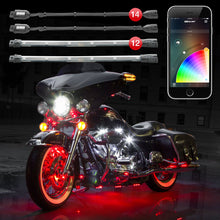 Load image into Gallery viewer, User 1